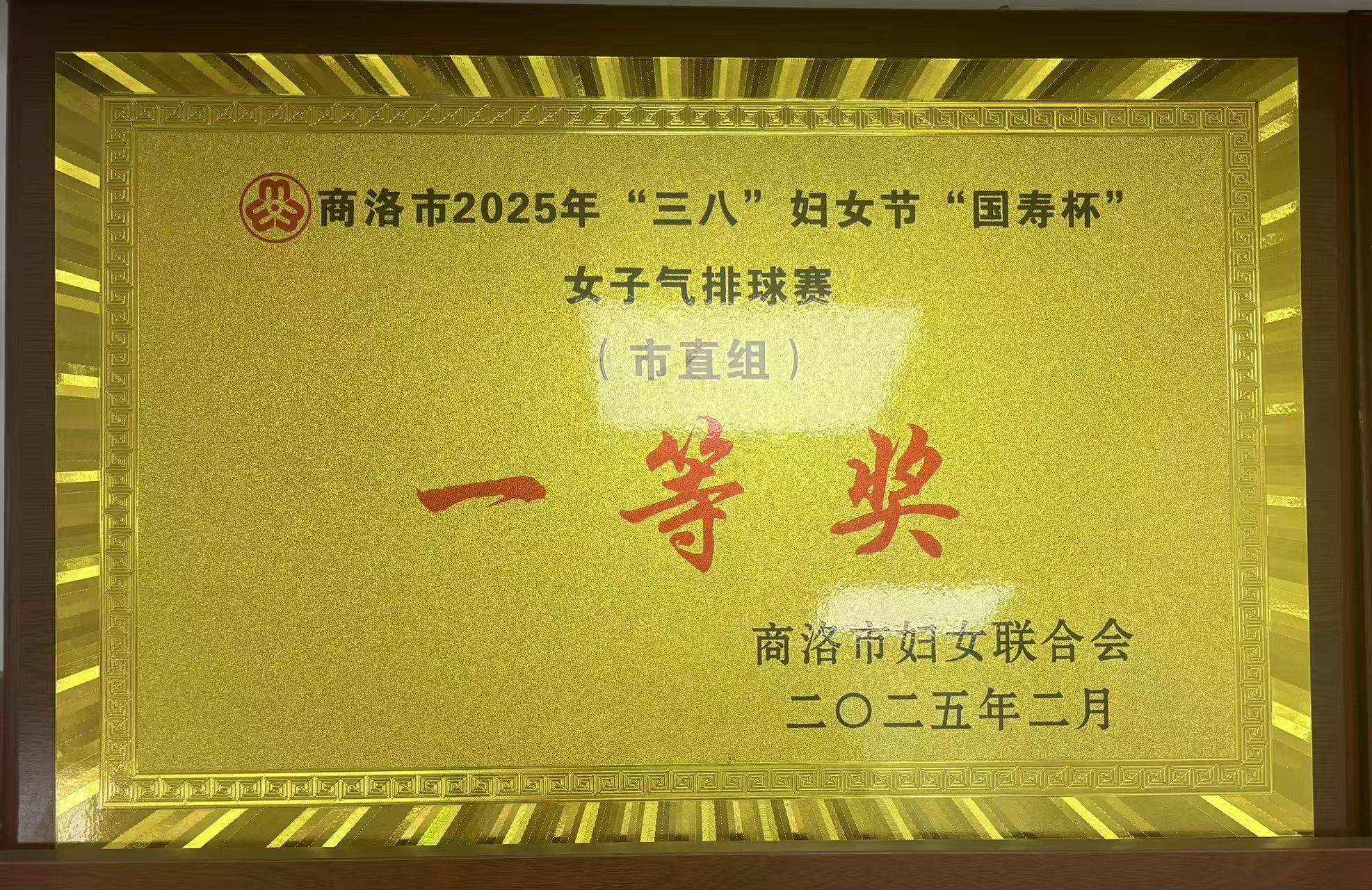 商洛市2025年&ldquo;三八&rdquo;妇女节&ldquo;国寿杯&rdquo;女子气排球赛一等奖